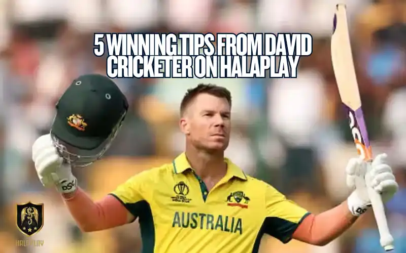 5 Winning Tips from David Cricketer on Halaplay 1 David Cricketer