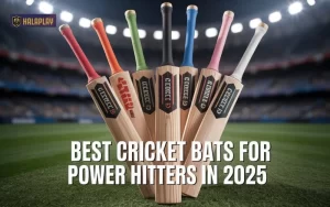 5 Best Cricket Bats for Power Hitters in 2025 3 cricket bat